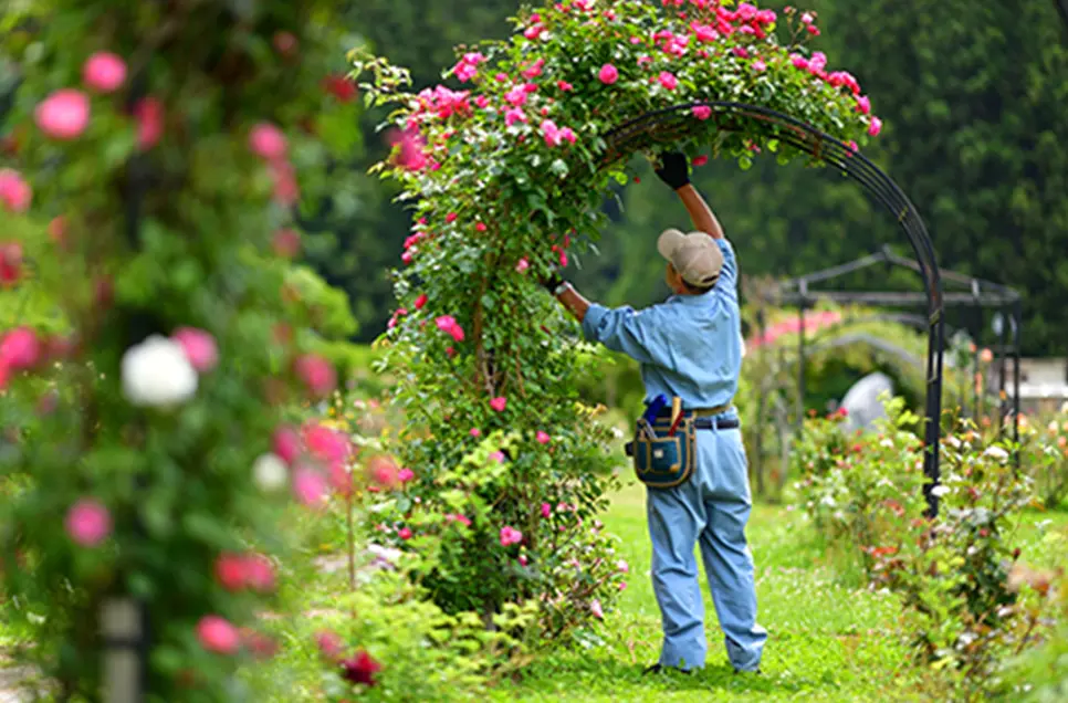 造園・ガーデニングの例