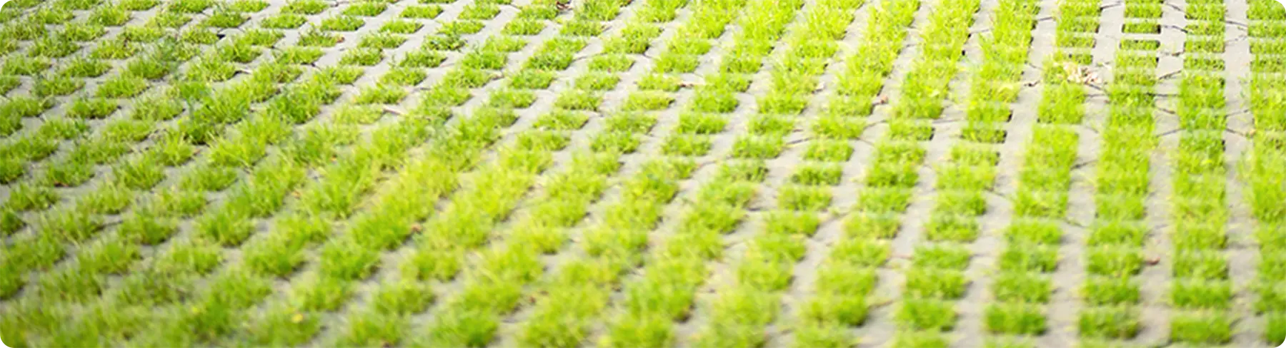 特徴04：環境への配慮を表す画像